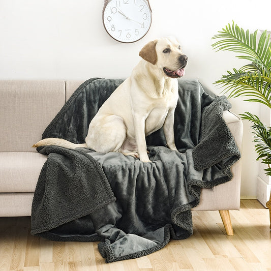 Cozy-Protect Waterproof Pet Blanket - Solution for Wet Cleanups & Cost Savings